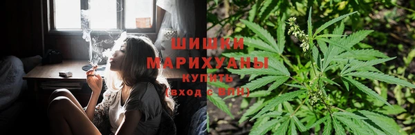 амф Магадан